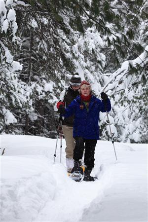 冬季になるとシーズンが幕を明けるウィンタートレイル＝カナダ・オンタリオ州北東部のアルゴンキン州立公園