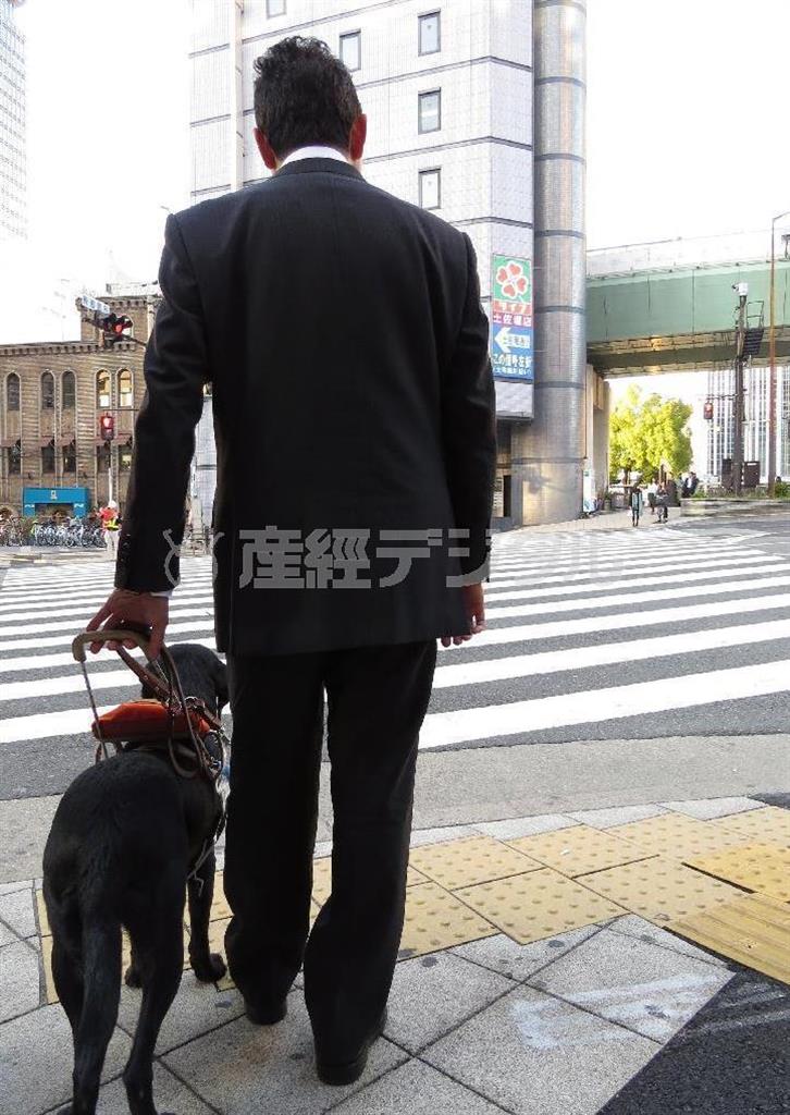 ユーザーは、盲導犬に取り付けられたハーネスを通じてコミュニケーションを取っている＝２０１４（平成２６年）１１月２０日（関西大学、有志学生記者撮影）
