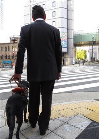 ユーザーは、盲導犬に取り付けられたハーネスを通じてコミュニケーションを取っている＝２０１４（平成２６年）１１月２０日（関西大学、有志学生記者撮影）