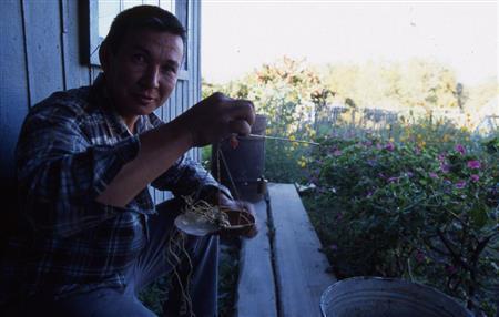 タイガで見つけた朝鮮人参を天秤ではかる＝ロシア・クラスヌィ・ヤール村（伊藤健次さん撮影）