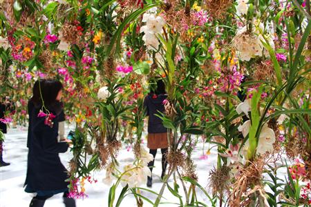 生花約２３００本を使ったチームラボ最新作『Floating Flower Garden - 花と我と同根、庭と我と一体と』＝日本科学未来館（日下紗代子撮影）