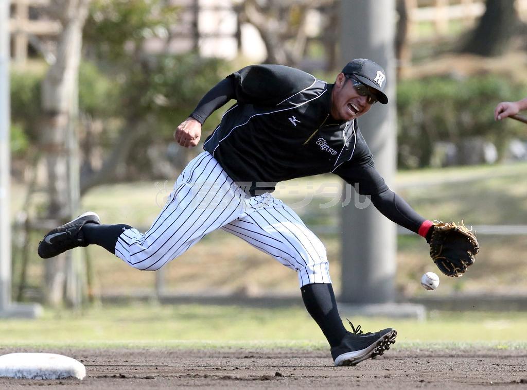 阪神の沖縄・宜野座キャンプで居残り特守を受ける鳥谷選手。溌剌として表情も明るい＝２０１５年２月１８日、沖縄県国頭郡宜野座村（中島信生撮影）