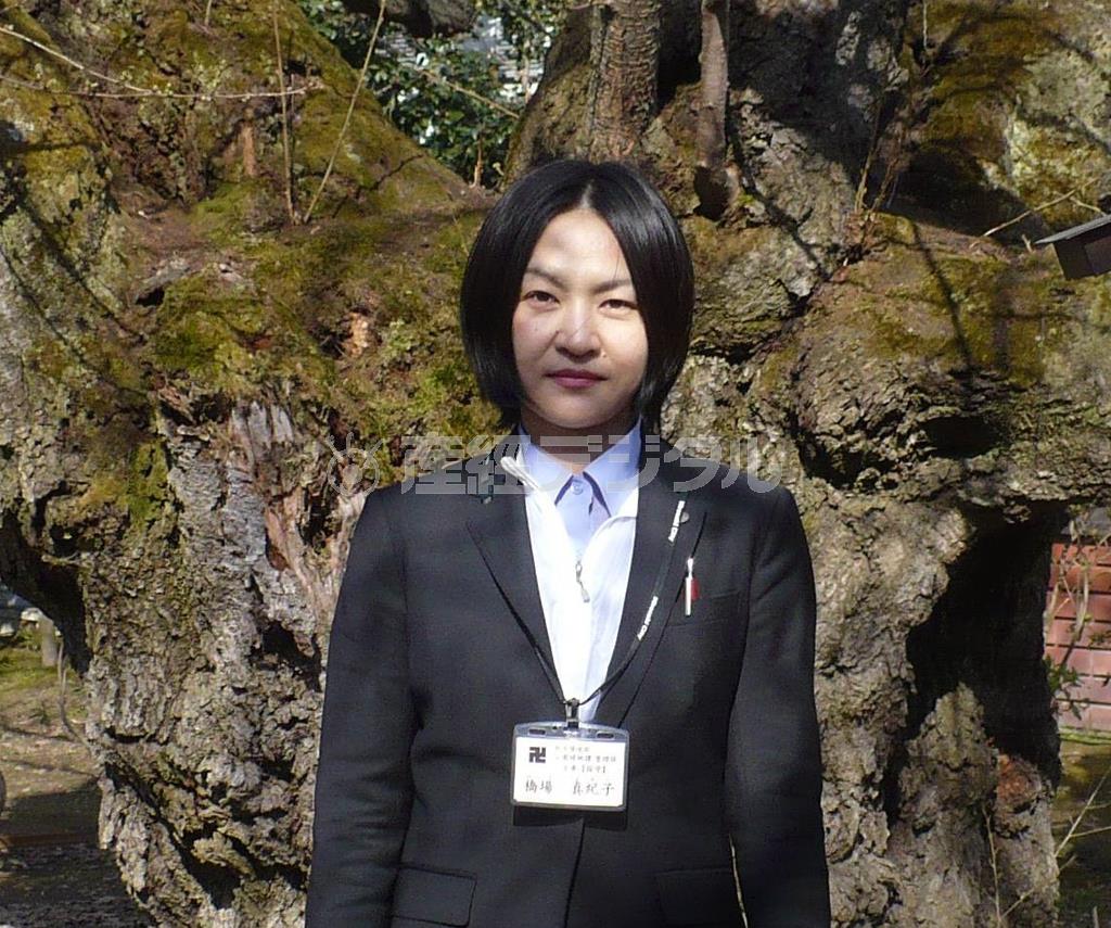 弘前城の桜を見守る「チーム桜守」に一員で樹木医の橋場真紀子さん＝２０１４年４月１１日（提供写真）