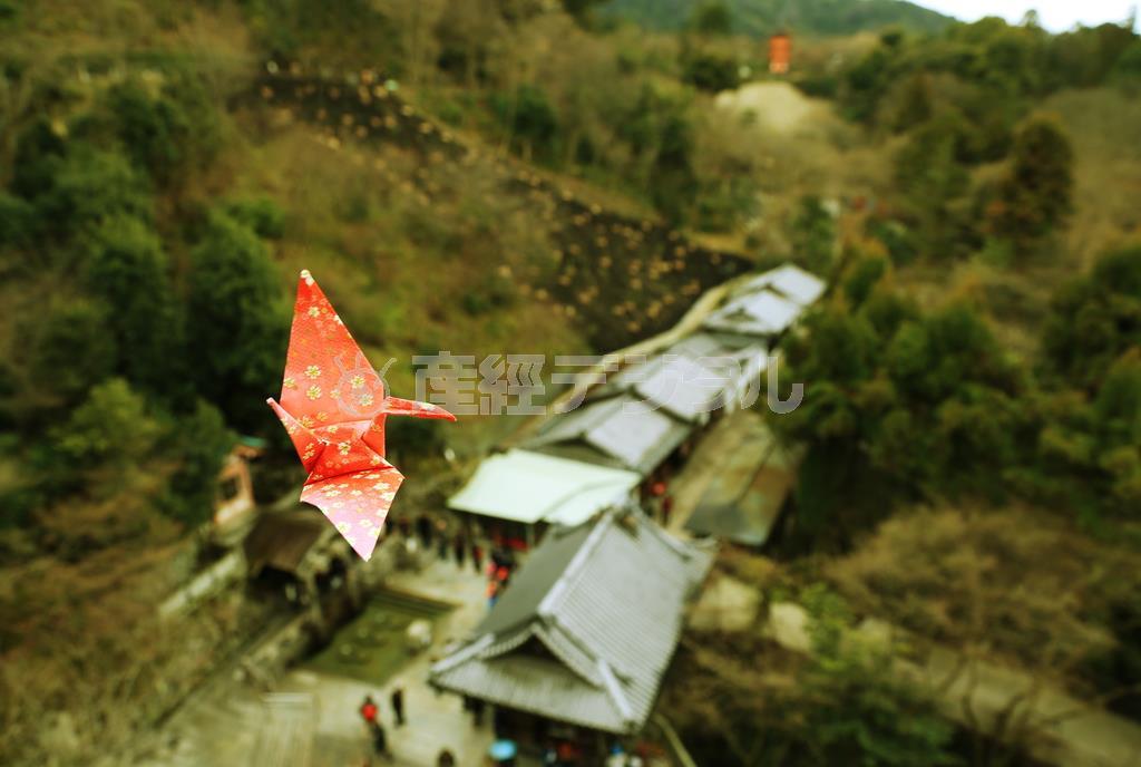 一人で撮る場合、傘や自撮り棒に鶴を吊るすと簡単に撮ることができるでしょう＝２０１５年２月２７日、京都市東山区（須藤夕子さん撮影）