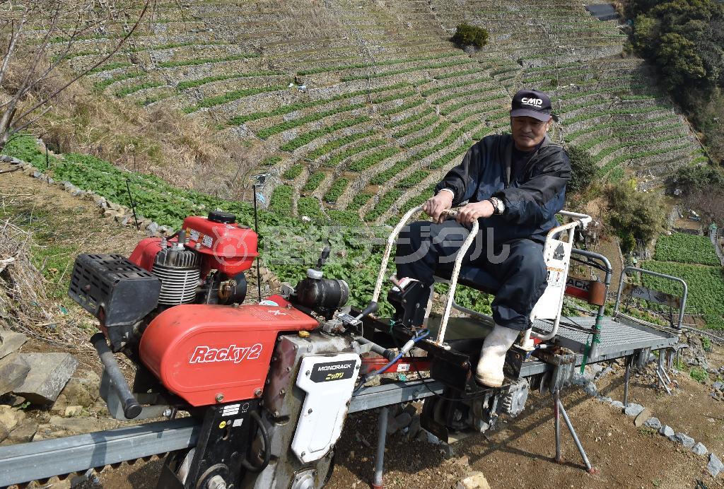 農業用のモノレールが急斜面での作業を支える＝２０１５年３月４日、愛媛県宇和島市（沢野貴信撮影）