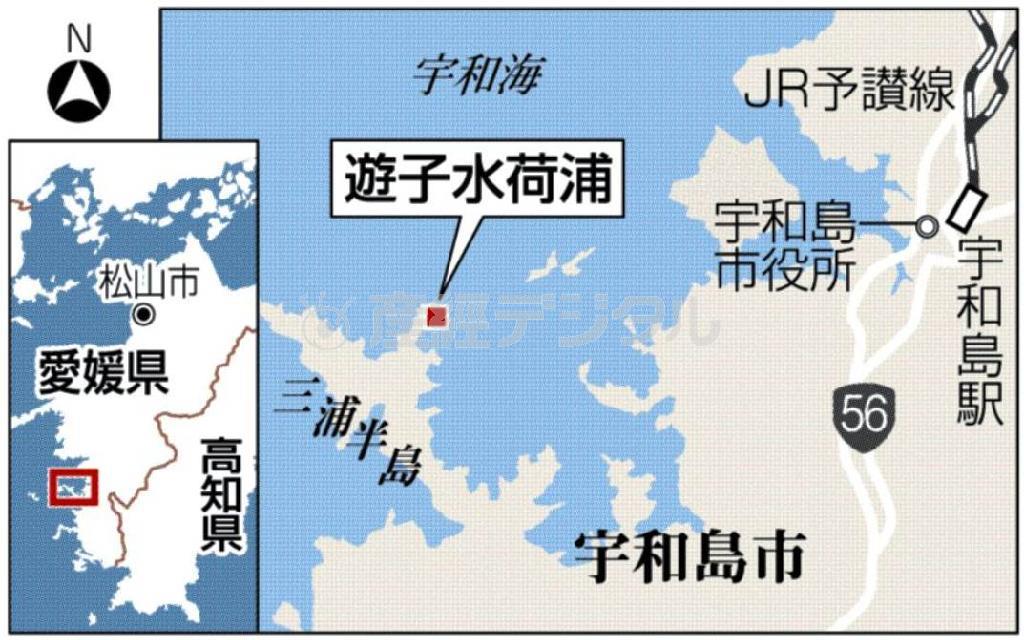 愛媛県宇和島市の「遊子水荷浦（ゆすみずがうら）の段畑（だんばた）」