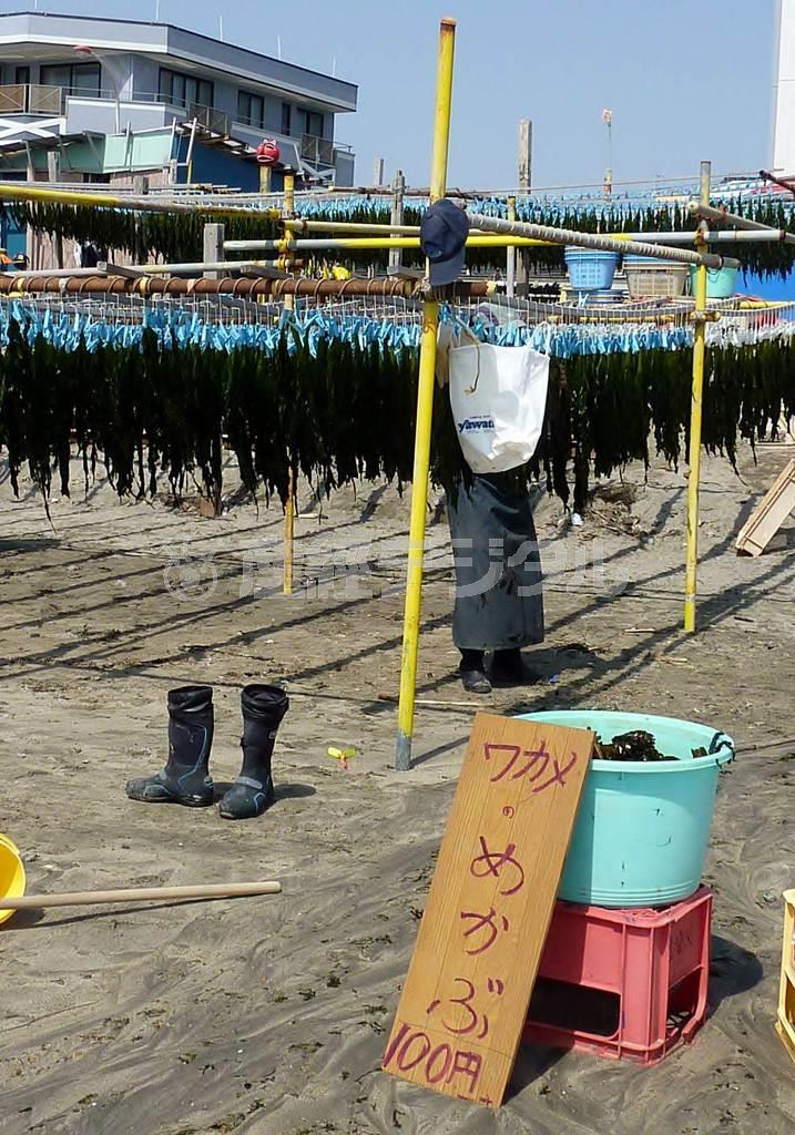 板きれに「めかぶ１００円」と書かれた看板＝２０１５年３月２２日、神奈川県鎌倉市