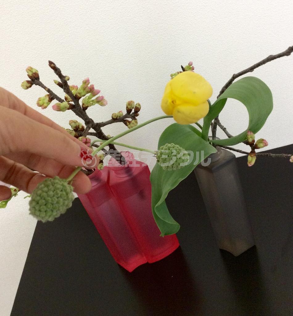 （手順４）最後にスカビオサの珍種のグリーンアップルを交差するように挿してニュアンスをつけて出来上がり＝２０１５年３月１５日（花千代さん撮影）