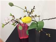 ガラス器に桜＿基本の投げ入れを楽しむ（Ｆｉｎｉｓｈ！、花千代さん提供）