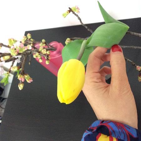 （手順３）差し色の黄色のチューリップ１本の葉っぱを手で少し丸めて形をつけたものを、手前にアーチを描く様に入れる＝２０１５年３月１５日（花千代さん撮影）