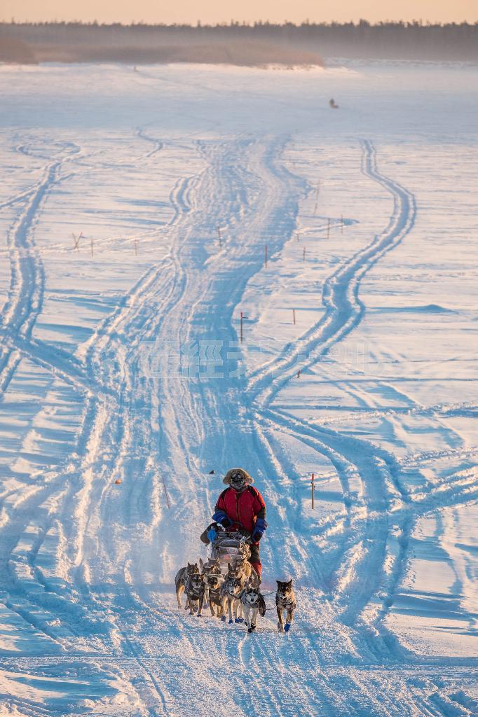 「アイディタロッド」犬ぞりレースで氷結したユーコン川を行くマッシャーのネイサン・シュレーダーさんと犬たち＝２０１５年３月１５日、米アラスカ州（ＡＰ）