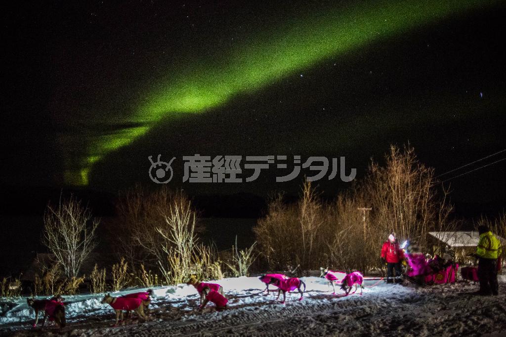 「アイディタロッド」犬ぞりレースの米アラスカ州でのチェックポイントとなるルビーでは、駆け抜ける犬ぞり隊の頭上に幻想的なオーロラが現れた＝２０１５年３月１１日（ＡＰ）