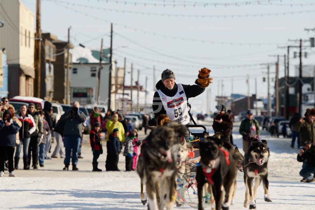 ７位でゴール地点のノームに到着したジェフ・キングさんと犬たち＝２０１５年３月１８日、米アラスカ州（ＡＰ）