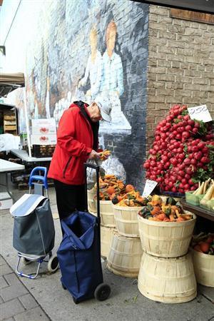 真っ赤なカブとさまざまな形のオレンジのカボチャ、おじさんの赤い上着の色が鮮やかに出るように、キヤノンのカメラでしたので、ピクチャースタイルを風景にして色をビビッドに出す設定で撮影しました。地元のほとんどのお客さんはエコバックを持参していました。何気ないカットですが、邪魔にならない壁が背景になるよう、自分が動きました＝２０１４年１０月４日、カナダ（須藤夕子さん撮影）