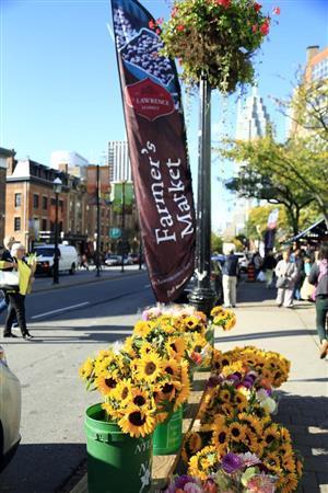 季節は１０月の秋でしたが、ひまわりを売っていました。ひまわりにはやはり青空が似合いますね。四隅がレンズによっては周辺光量が落ちて暗い部分が出てきますが、あとからパソコンやアプリで修正することもできます＝２０１４年１０月４日、カナダ（須藤夕子さん撮影）
