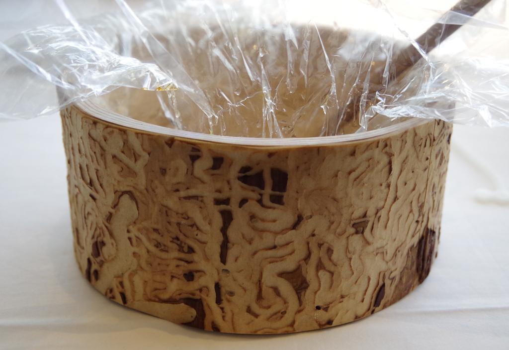 「明日はツルツル」の器。静岡産のスギの木でつくられている＝日本平ホテル