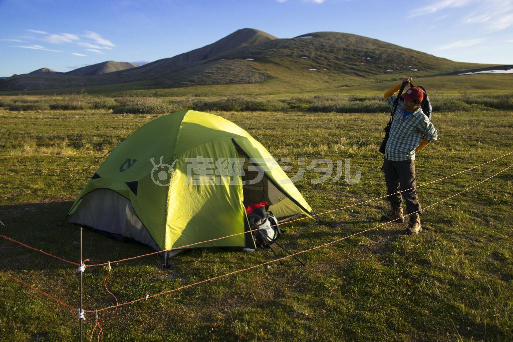 ツンドラにキャンプをはる。テントは”Ｂｅａｒ＿ｆｅｎｃｅ“（クマの柵）で取り囲む＝２０１４年６月２９日、米アラスカ州（松本紀生さん撮影）
