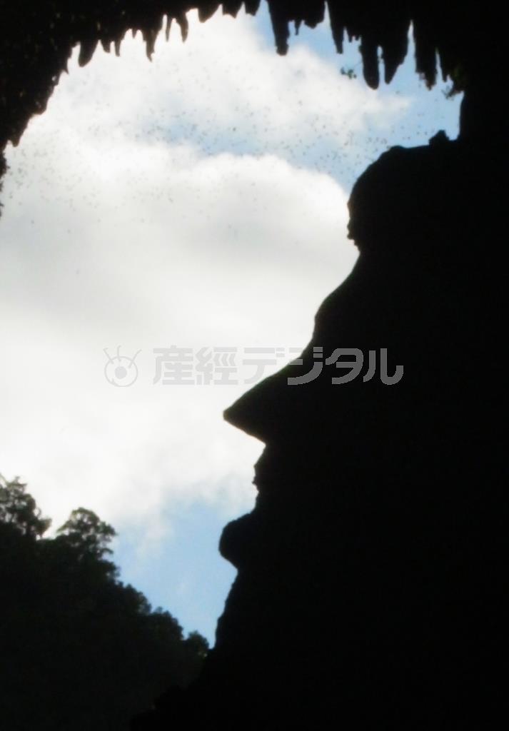 ディア洞窟の内部から見える巨大な岩のシルエット。エイブラハム・リンカーン米大統領の横顔に見えると有名。ここからコウモリの大群が飛び立って行く＝２０１４年１２月１９日、マレーシア・サラワク州（ボルネオ島、杉山みどり撮影）