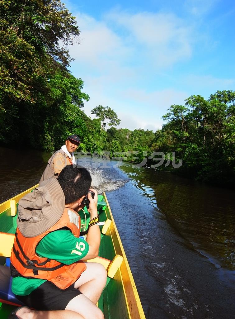 ウインド洞窟とクリアウォーター洞窟へは、密林を流れるミリ川をボートで移動する＝２０１４年１２月２０日、マレーシア・サラワク州（ボルネオ島、杉山みどり撮影）