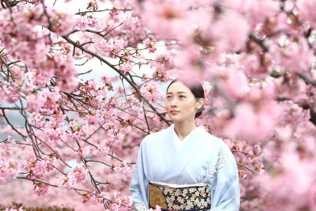 あと何回、桜が見られるか？＝２０１５年３月３日、神奈川県足柄上郡松田町・西平畑公園（大出一博さん撮影）
