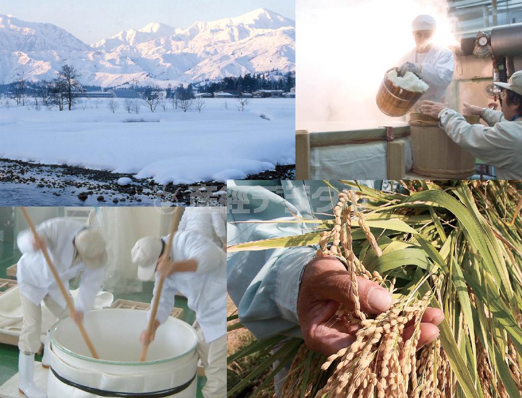 （日本酒「吉乃川株式会社」提供）