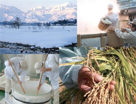 （日本酒「吉乃川株式会社」提供）