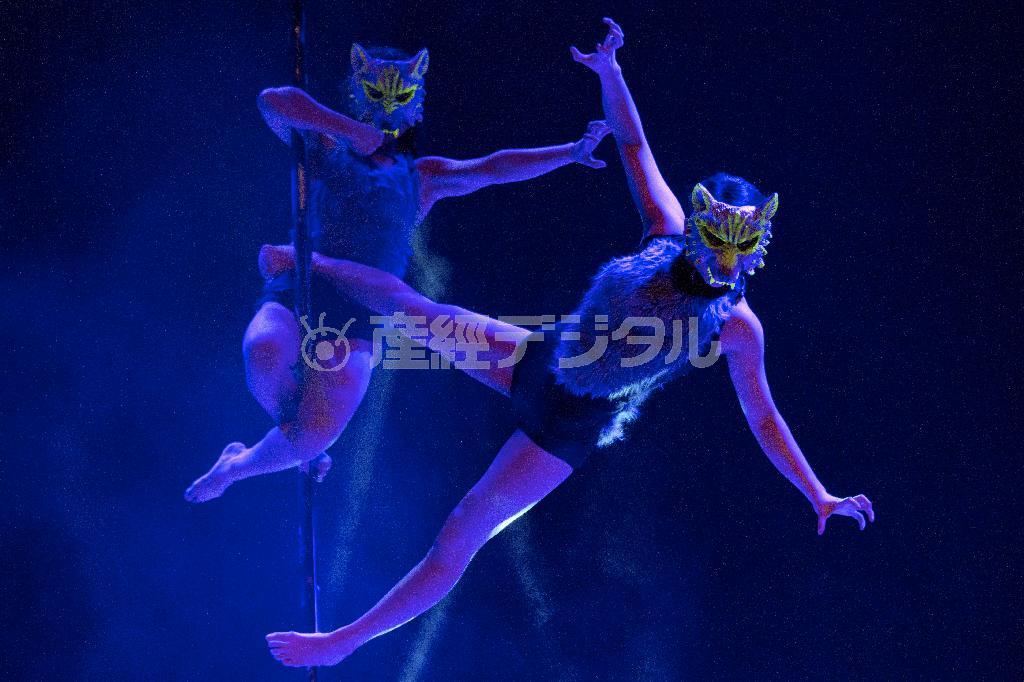 ポールダンスの衣装はさまざま。こんなかぶり物もオーケーだー＝２０１５年４月１２日、中国・首都北京市（ＡＰ）