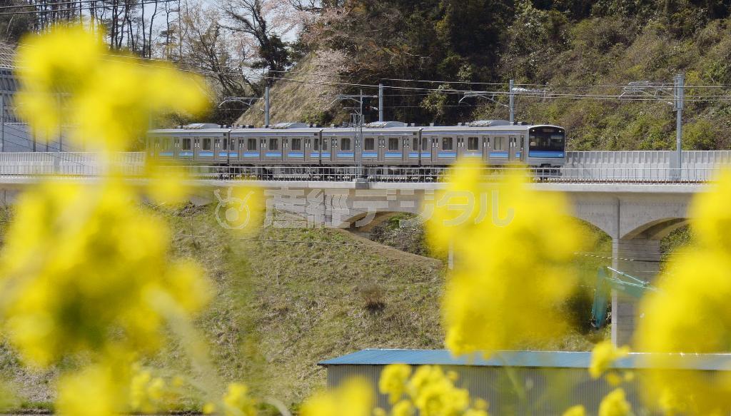 高台に新設された路線を試験走行するＪＲ仙石線の列車＝２０１５年４月２１日、宮城県東松島市（共同）