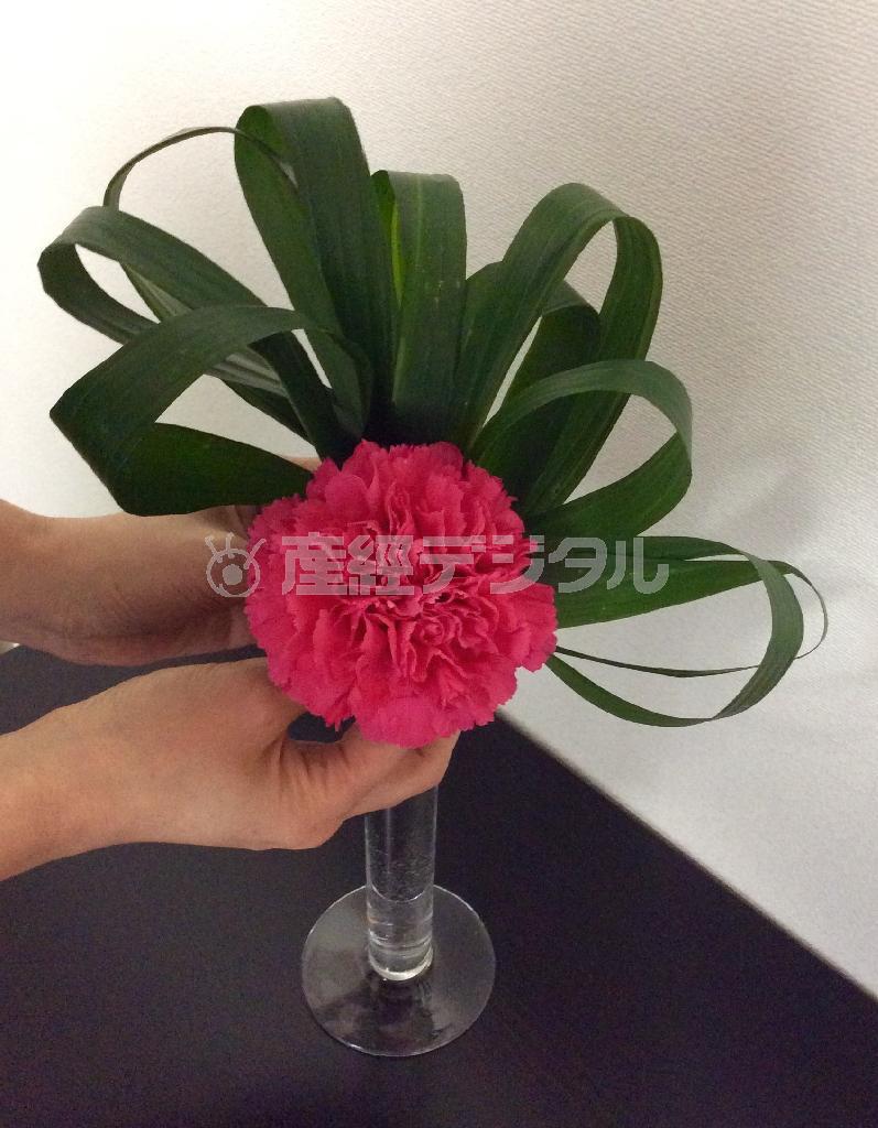 （手順３）ボリューム感が出たハランの土台の真ん中にカーネーションを挿す＝２０１５年４月２０日（花千代さん提供）