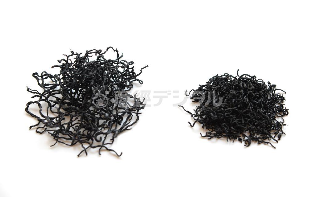 茎の部分の長ひじき（左）と芽ひじき（宮崎瑞穂撮影）