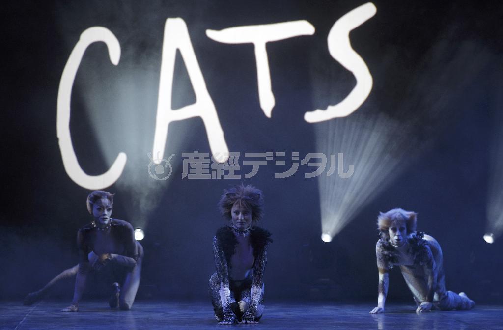 ミュージカル「キャッツ」＝２０１５年４月２７日、フランス・首都パリ（ＡＰ）