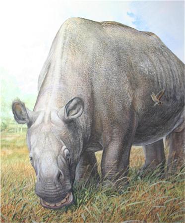 サイとカバに似た外観を持つトクソドンの想像図（ロイター）