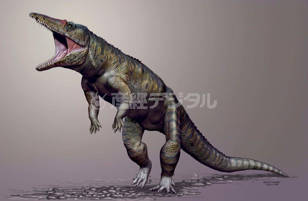 約２億３１００万年前の地上に二足歩行するワニの仲間（想像図、ロイター）