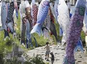 成長への願いを込めて掲げられたこいのぼりの下で遊ぶ子供。一方、保育所では死亡事故が相次いでいる＝２０１５年５月２日、神奈川県横浜市（ＡＰ）。※一部画像を処理しています。