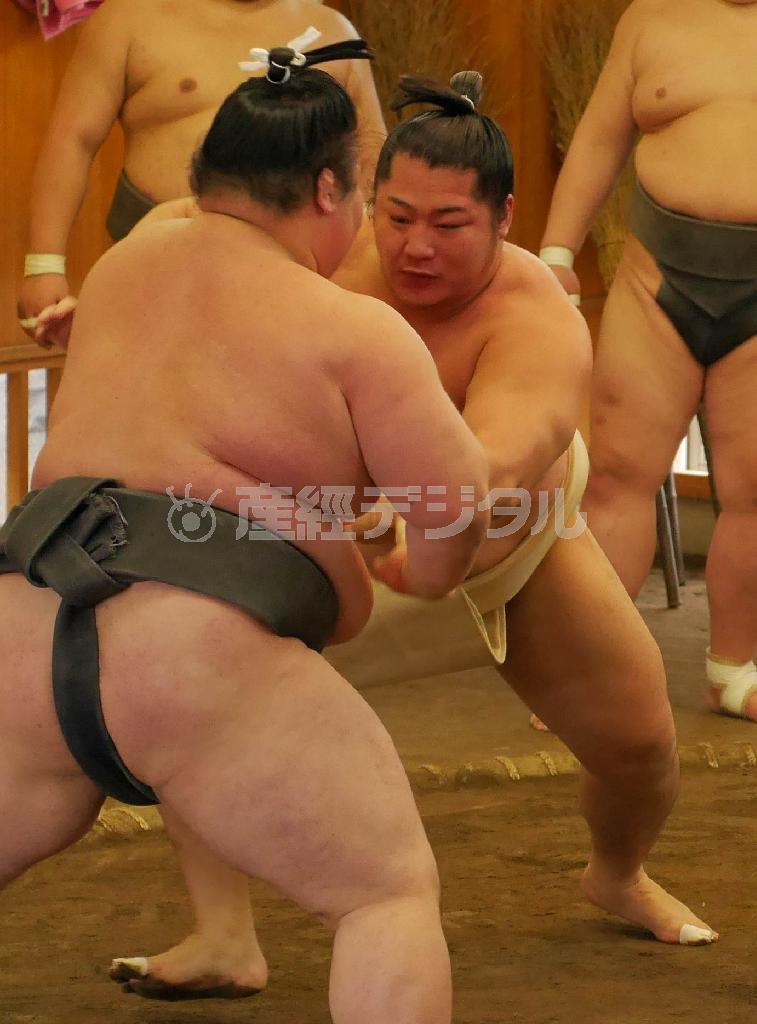 幕下力士と相撲をとる遠藤（中央）＝２０１５年５月５日午前、埼玉県草加市の追手風部屋（藤原翔撮影）