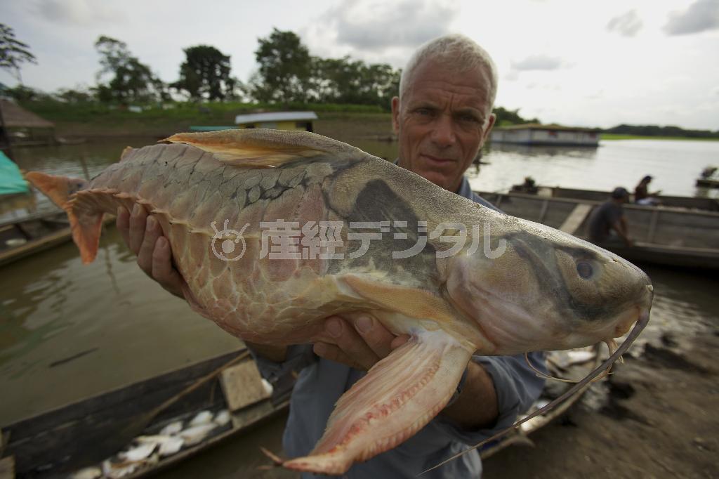 「怪物魚」をつかむジェレミー・ウェイド。（Ｃ）２０１５＿Ｄｉｓｃｏｖｅｒｙ＿Ｃｏｍｍｕｎｉｃａｔｉｏｎｓ，ＬＬＣ．