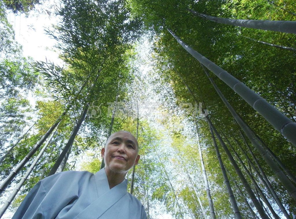 日蓮宗系の尼僧、鈴木日宣（すずき・にっせん）さん＝千葉県内（伴龍二撮影）