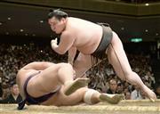 上手投げで栃煌山（とちおうざん）を下した白鵬。徐々に調子を上げてきた＝２０１５年５月１５日、東京都墨田区・両国国技館（共同）