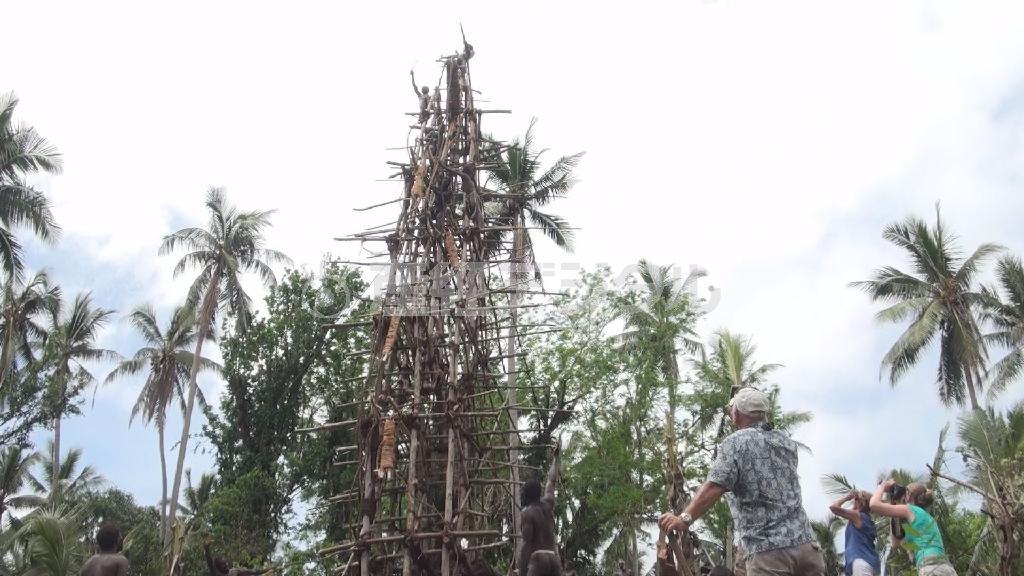 伝統儀式「ナンゴール」の舞台となるバンジータワー＝２０１５年、バヌアツ・ペンテコスト島（相川梨絵さん撮影）