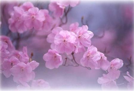 （大出一博さん撮影）