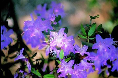 （大出一博さん撮影）