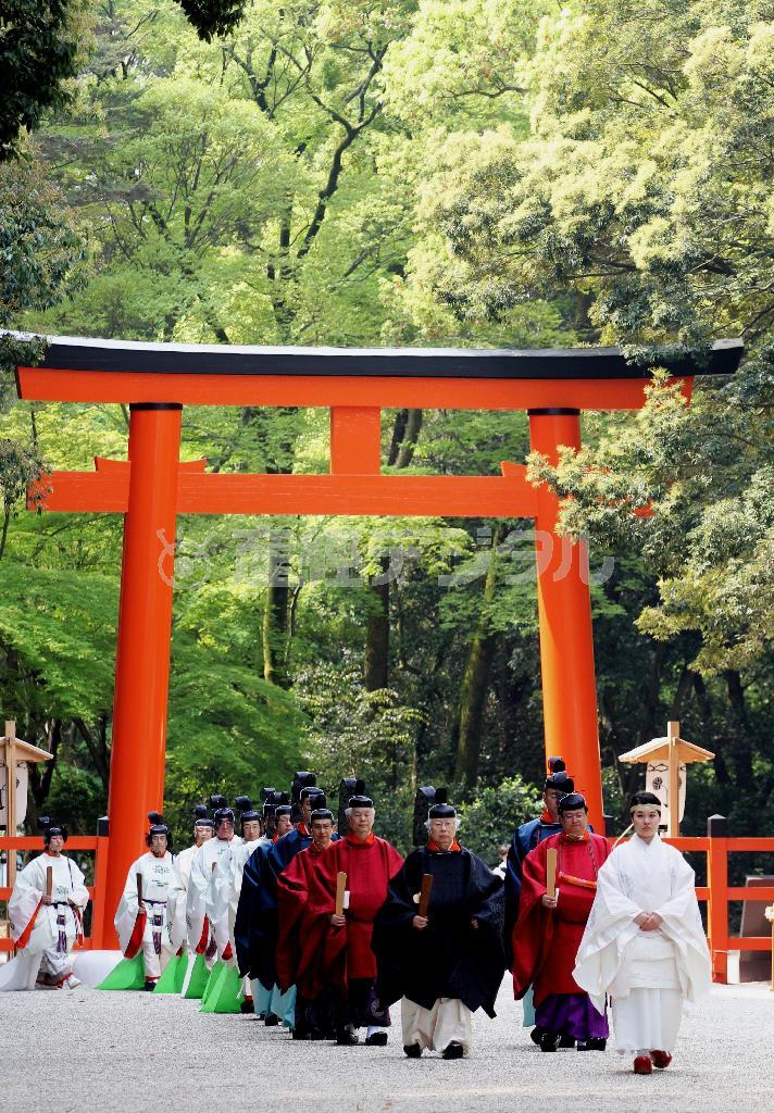 遷座祭から一夜明け、奉幣祭（ほうべいさい）の行われる本殿へと進む神職ら＝２０１５年４月２８日午前、京都市左京区（田中幸美撮影）