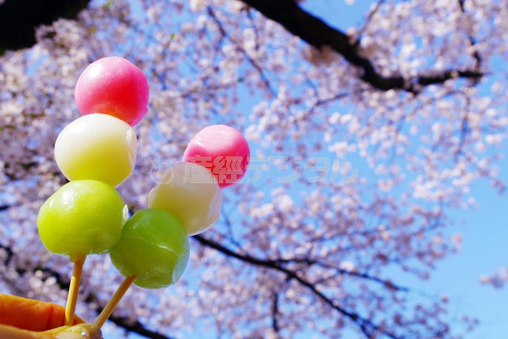 まさに「花より団子」の絵です。先ほどの犬のカットよりも空が真っ青に出ています。ＰＥＮＴＡＸ＿Ｋ－Ｓ２の「カスタムイメージ」では色を操り、表現を豊かにすることができます。選択肢は「鮮やか」「ナチュラル」「人物」「風景」などに加え、「雅」「ポップチューン」「ほのか」「銀残し」「リバーサルフィルム」「モノトーン」と１１種類。この写真はポップチューンで撮影してみました。お団子の色と桜や青空の色が鮮やかになり、非現実的な色合いで、印象に残る一枚が撮れます＝２０１５年４月２日（須藤夕子さん撮影）