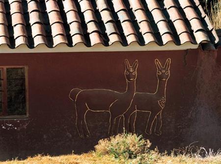 ウルバンバ郊外の民家に描かれたリャマ。ナスカの地上絵を連想させる＝ペルー（酒井久美子さん撮影）