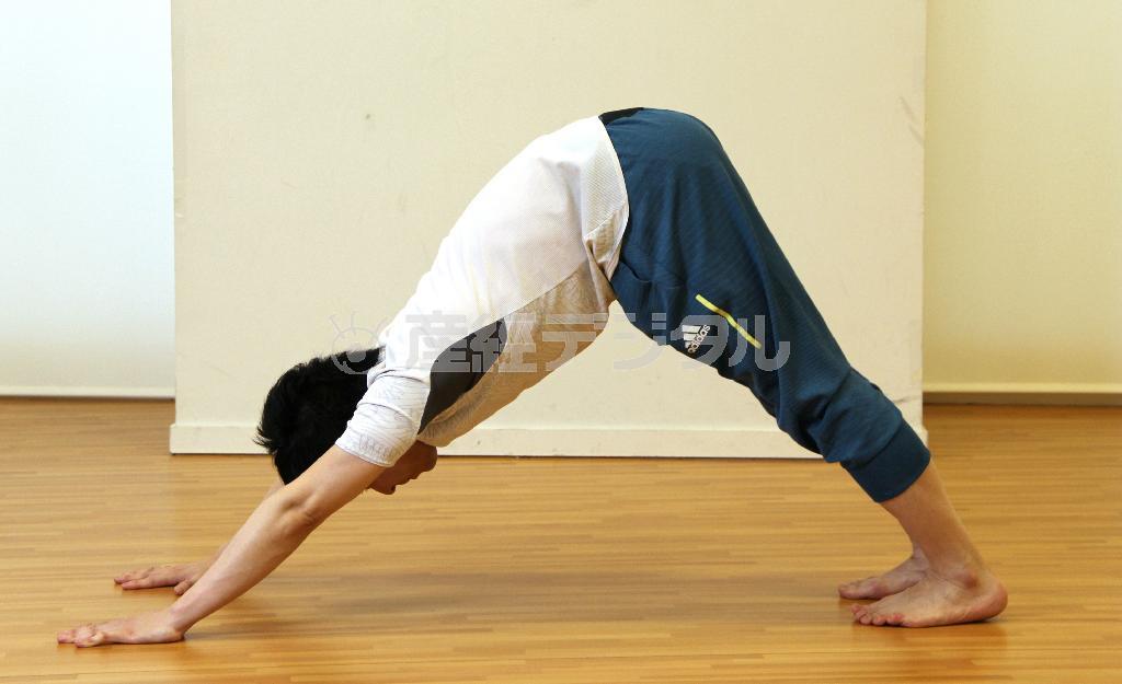 下向きの犬のポーズ＝２０１５年５月１８日（田中幸美撮影）