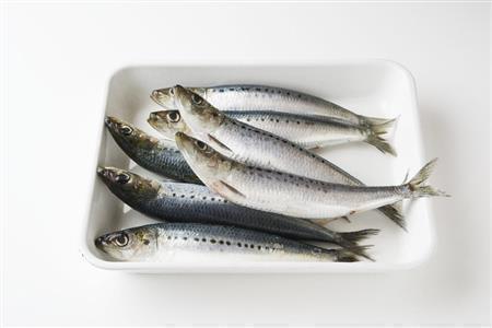 ピーンとそりかえったものは新鮮な証拠。今にも泳ぎ出しそう！（松下二郎さん撮影、提供写真）