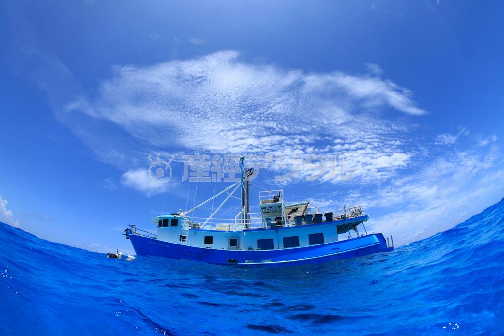 イルカの群れを探しながら大海原を進むドルフィンクルーズ船＝２０１３年６月１１日、バハマ（越智隆治さん撮影）