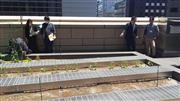 日本初の飲食店向けに特化した屋上貸し農園「テラスファーム」＝東京都千代田区のテラススクエア
