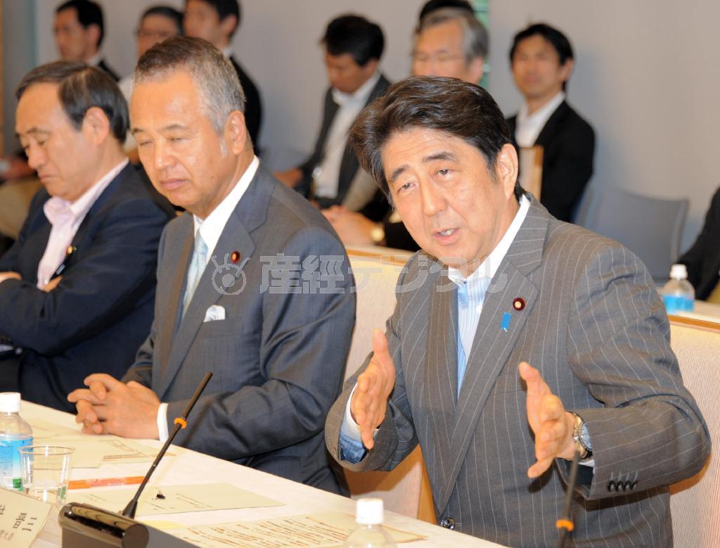 産業競争力会議で挨拶する安倍晋三（しんぞう）首相（右端）＝２０１５年６月１１日、首相官邸（斎藤良雄撮影）