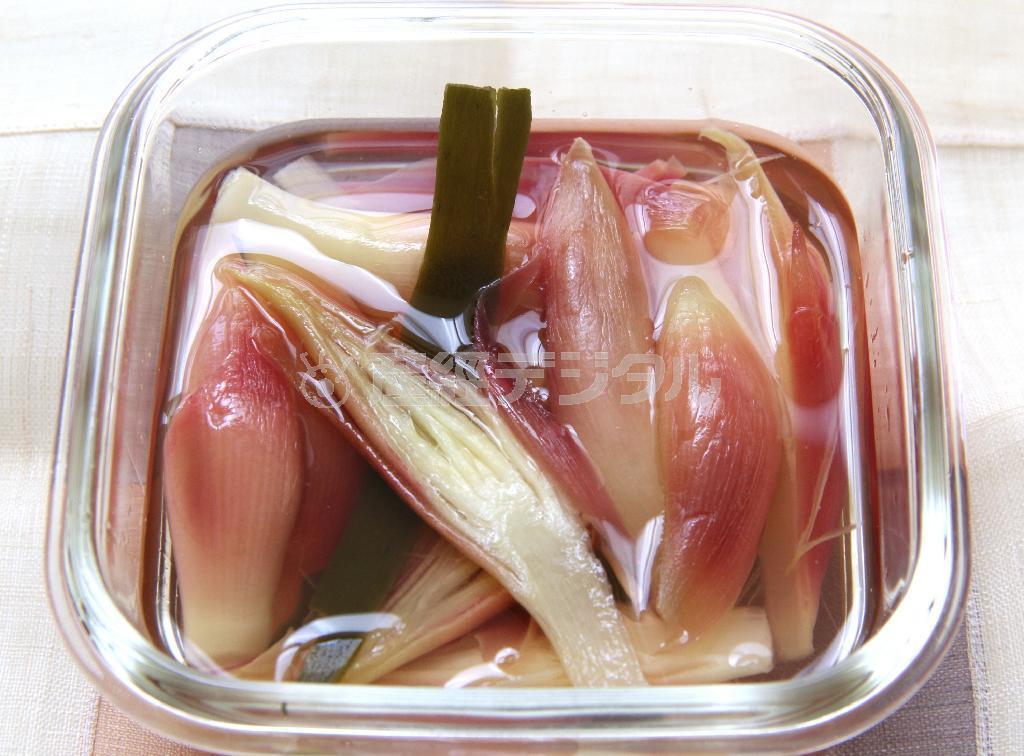 みょうがの酢漬け。※１３ｋｃａｌ、塩分０．２グラム（１人分）